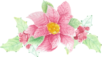 watercolor Christmas poinsettia flower bouquet png