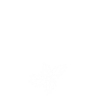 Kerstmis elementen en achtergrond png