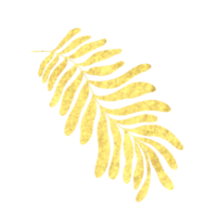 golden leaves on a white background. Decoration element for invitation, greeting cards, template,backdrop,wedding cards. png