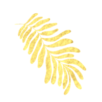 golden leaves on a white background. Decoration element for invitation, greeting cards, template,backdrop,wedding cards. png