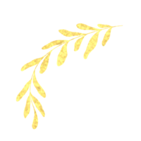 golden leaves on a white background. Decoration element for invitation, greeting cards, template,backdrop,wedding cards. png