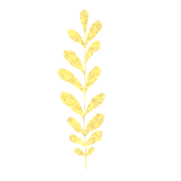 feuilles d'or sur fond blanc. élément de décoration pour invitation, cartes de voeux, modèle, toile de fond, cartes de mariage. png