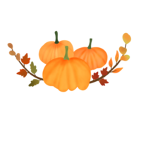 Watercolor pumpkins composition. Pumpkins with leaves isolated on white background. Design for Thanksgiving day,Halloween,greeting cards,poster and etc. png