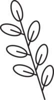 desenho de folha floral simplicidade png