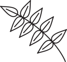 dessin de feuille florale de simplicité png