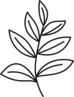 desenho de folha floral simplicidade png