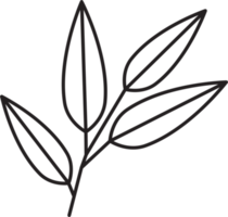 eenvoud bloemen blad tekening png