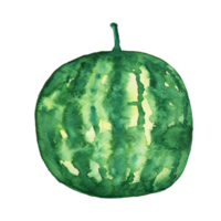 Watercolor cute watermelon png