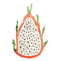 fruta del dragón acuarela png