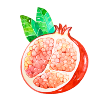 fruta de romã aquarela png