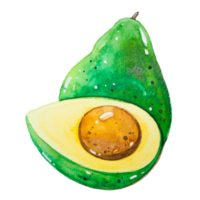 fruta de abacate em aquarela png