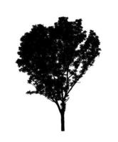 Tree silhouette for brush on white background photo