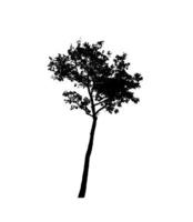 Isolated tree silhouette for brush on white background photo