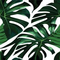 patrón de monstera verde fondo blanco. patrón exótico con hojas tropicales. ilustración vectorial patrón de hoja de monstera. hojas de palmeras tropicales. tela de diseño exótico, estampado textil, papel de regalo vector