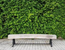 empty wooden bench in park photo