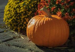 calabaza naranja en el mercado de agricultores al aire libre foto