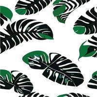 patrón de monstera verde fondo blanco. patrón exótico con hojas tropicales. ilustración vectorial patrón de hoja de monstera. hojas de palmeras tropicales. tela de diseño exótico, estampado textil, papel de regalo vector