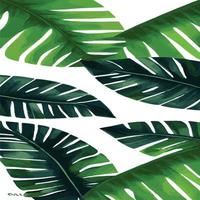 green monstera pattern white background. exotic pattern with tropical leaves. Vector illustration. monstera leaf pattern. Tropical palm leaves. Exotic design fabric, textile print, wrapping paper