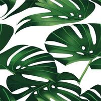 patrón de monstera verde fondo blanco. patrón exótico con hojas tropicales. ilustración vectorial patrón de hoja de monstera. hojas de palmeras tropicales. tela de diseño exótico, estampado textil, papel de regalo vector