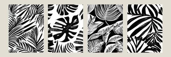 establecer hojas exóticas de patrones sin fisuras en blanco y negro. Fondo decorativo elegante vector abstracto. hojas de palma tropical, patrón floral vectorial sin costuras de hoja de selva. fondo de pantalla de estilo tropical grunge.