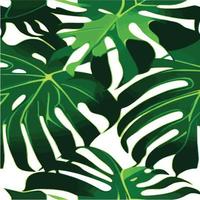 patrón de monstera verde fondo blanco. patrón exótico con hojas tropicales. ilustración vectorial patrón de hoja de monstera. hojas de palmeras tropicales. tela de diseño exótico, estampado textil, papel de regalo vector