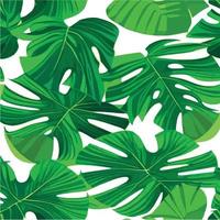 patrón de monstera verde fondo blanco. patrón exótico con hojas tropicales. ilustración vectorial patrón de hoja de monstera. hojas de palmeras tropicales. tela de diseño exótico, estampado textil, papel de regalo vector