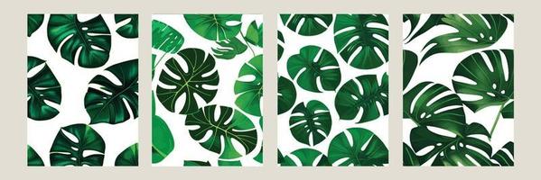 green monstera as a pattern on a white background. exotic pattern with tropical leaves. Vector illustration. set of square posters