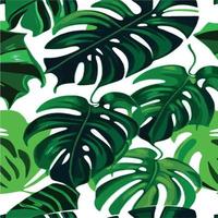 patrón de monstera verde fondo blanco. patrón exótico con hojas tropicales. ilustración vectorial patrón de hoja de monstera. hojas de palmeras tropicales. tela de diseño exótico, estampado textil, papel de regalo vector