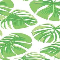 patrón de monstera verde fondo blanco. patrón exótico con hojas tropicales. ilustración vectorial patrón de hoja de monstera. hojas de palmeras tropicales. tela de diseño exótico, estampado textil, papel de regalo vector