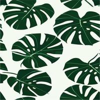 patrón de monstera verde fondo blanco. patrón exótico con hojas tropicales. ilustración vectorial patrón de hoja de monstera. hojas de palmeras tropicales. tela de diseño exótico, estampado textil, papel de regalo vector