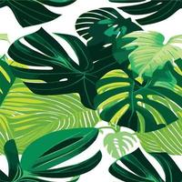 patrón de monstera verde fondo blanco. patrón exótico con hojas tropicales. ilustración vectorial patrón de hoja de monstera. hojas de palmeras tropicales. tela de diseño exótico, estampado textil, papel de regalo vector