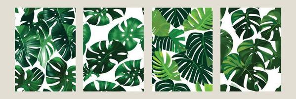 green monstera as a pattern on a white background. exotic pattern with tropical leaves. Vector illustration. set of square posters