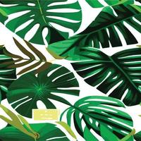 green monstera pattern white background. exotic pattern with tropical leaves. Vector illustration. monstera leaf pattern. Tropical palm leaves. Exotic design fabric, textile print, wrapping paper