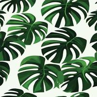 patrón de monstera verde fondo blanco. patrón exótico con hojas tropicales. ilustración vectorial patrón de hoja de monstera. hojas de palmeras tropicales. tela de diseño exótico, estampado textil, papel de regalo vector