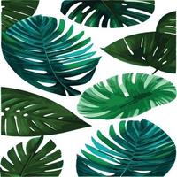 patrón de monstera verde fondo blanco. patrón exótico con hojas tropicales. ilustración vectorial patrón de hoja de monstera. hojas de palmeras tropicales. tela de diseño exótico, estampado textil, papel de regalo vector