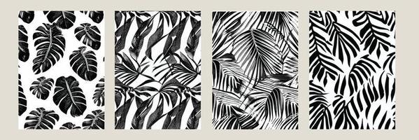 establecer hojas exóticas de patrones sin fisuras en blanco y negro. Fondo decorativo elegante vector abstracto. hojas de palma tropical, patrón floral vectorial sin costuras de hoja de selva. fondo de pantalla de estilo tropical grunge.