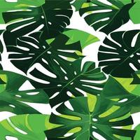 green monstera pattern white background. exotic pattern with tropical leaves. Vector illustration. monstera leaf pattern. Tropical palm leaves. Exotic design fabric, textile print, wrapping paper