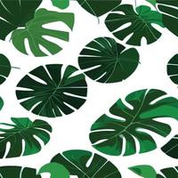 green monstera pattern white background. exotic pattern with tropical leaves. Vector illustration. monstera leaf pattern. Tropical palm leaves. Exotic design fabric, textile print, wrapping paper