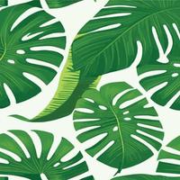 patrón de monstera verde fondo blanco. patrón exótico con hojas tropicales. ilustración vectorial patrón de hoja de monstera. hojas de palmeras tropicales. tela de diseño exótico, estampado textil, papel de regalo vector