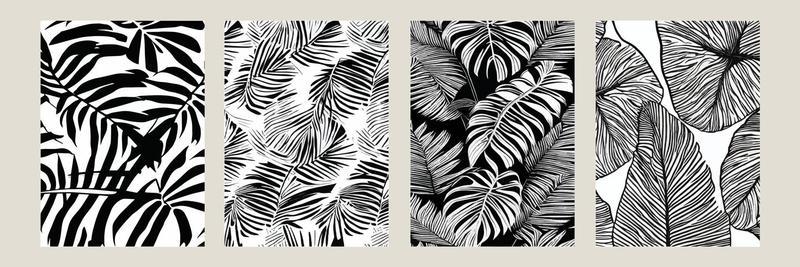 set exotic leaves seamless pattern black white. Stylish abstract vector decorative background. Tropical palm leaves, jungle leaf seamless vector floral pattern. Grunge tropical style wallpaper.