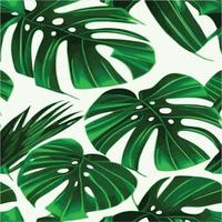 patrón de monstera verde fondo blanco. patrón exótico con hojas tropicales. ilustración vectorial patrón de hoja de monstera. hojas de palmeras tropicales. tela de diseño exótico, estampado textil, papel de regalo vector