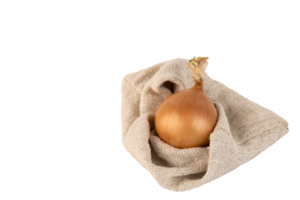 una cebolla amarilla grande con cáscara en una bolsa de lino, png, fondo transparente. png