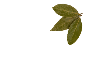 A set of three dry bay leaves. PNG, transparent background. png