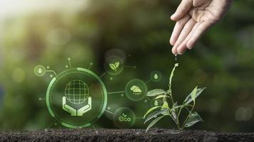 mano humana y plántulas, antecedentes naturales, concepto de plantación de árboles, ahorro del mundo, protección del medio ambiente, energía alternativa, innovación de energía verde y tecnología energética respetuosa con el medio ambiente foto