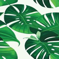 patrón de monstera verde fondo blanco. patrón exótico con hojas tropicales. ilustración vectorial patrón de hoja de monstera. hojas de palmeras tropicales. tela de diseño exótico, estampado textil, papel de regalo vector