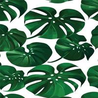 patrón de monstera verde fondo blanco. patrón exótico con hojas tropicales. ilustración vectorial patrón de hoja de monstera. hojas de palmeras tropicales. tela de diseño exótico, estampado textil, papel de regalo vector