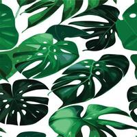 patrón de monstera verde fondo blanco. patrón exótico con hojas tropicales. ilustración vectorial patrón de hoja de monstera. hojas de palmeras tropicales. tela de diseño exótico, estampado textil, papel de regalo vector