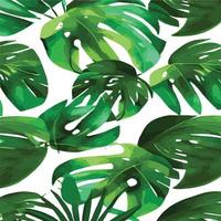 patrón de monstera verde fondo blanco. patrón exótico con hojas tropicales. ilustración vectorial patrón de hoja de monstera. hojas de palmeras tropicales. tela de diseño exótico, estampado textil, papel de regalo vector