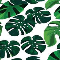 patrón de monstera verde fondo blanco. patrón exótico con hojas tropicales. ilustración vectorial patrón de hoja de monstera. hojas de palmeras tropicales. tela de diseño exótico, estampado textil, papel de regalo vector