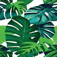 patrón de monstera verde fondo blanco. patrón exótico con hojas tropicales. ilustración vectorial patrón de hoja de monstera. hojas de palmeras tropicales. tela de diseño exótico, estampado textil, papel de regalo vector